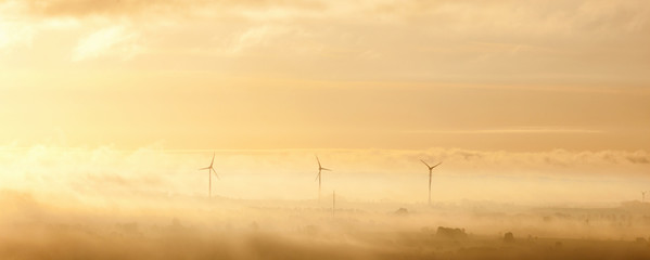 Wind turbines in morning landscape