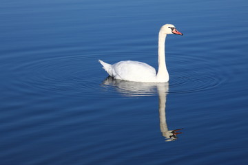 Unberührte Natur