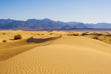 Desert Sand Dune