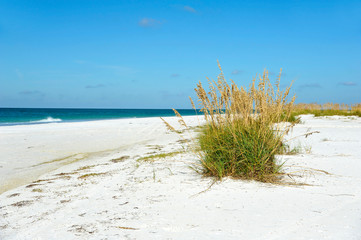 Beautiful Florida Coastline