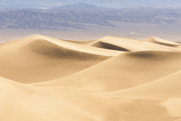 Fototapeta na wymiar Desert Sand Dune