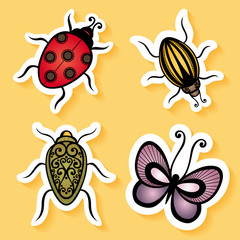 Vector Set of Stickers with Ornamental Insects, Patterned design