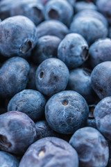 Blueberry basket isolated on white