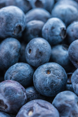 Blueberry basket isolated on white