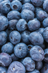 Blueberry basket isolated on white