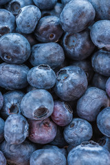 Blueberry basket isolated on white