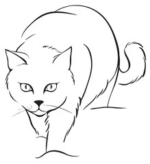 Outline cat