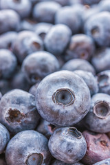 Blueberry basket isolated on white