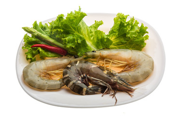 King and waterleg shrimps