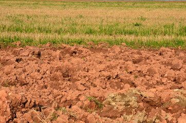 Ackerland nach der Ernte