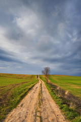 Krajobraz wiejski,polna droga, © janmiko