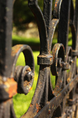 Black fence detail