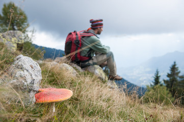 fungo velenoso con ragazzo che medita