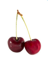 cherry fruit