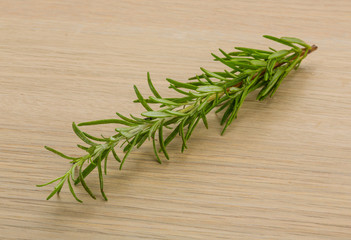 Rosemary plant