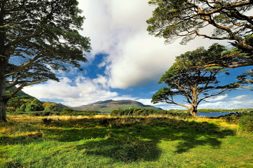 Irlandia, krajobraz wiejski