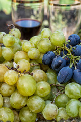 vine ripe grapes on the background of sunlight