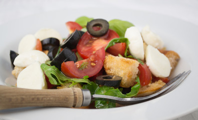 Italian bread salad