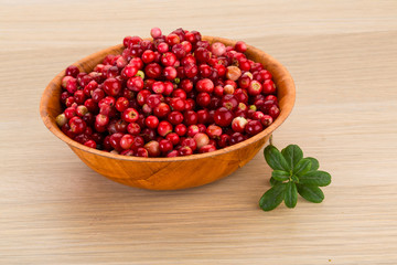 Cowberry