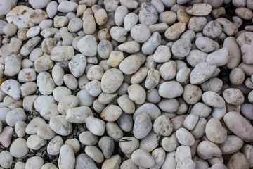 White rock abstract background