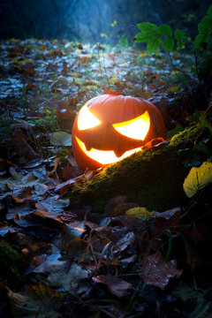 Glooming halloween lantern in the forest