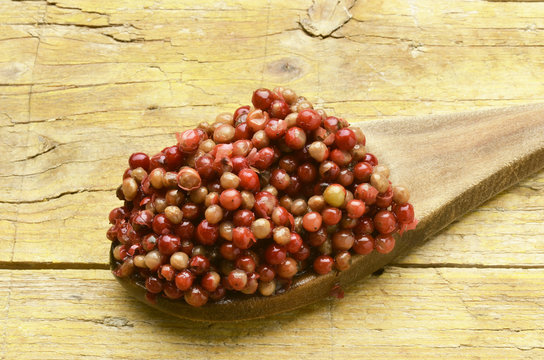 Aguaribay Pepe rosa Peruanischer Pfefferbaum Peruvian pepper