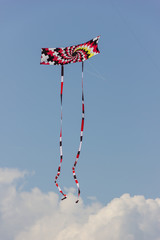 Kite festival