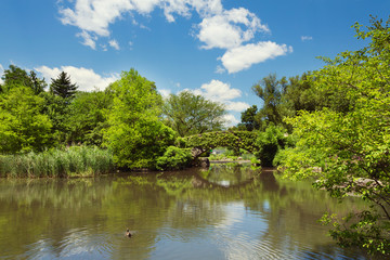 Central Park pond and bridge. New York, USA.