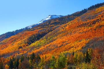 Fall foliage in San Juan mountains