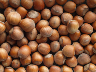 hazelnuts