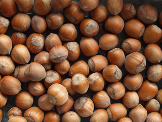 hazelnuts