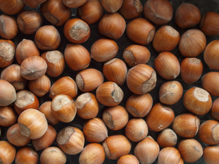 hazelnuts