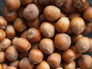 hazelnuts