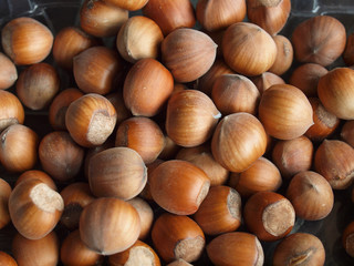 hazelnuts