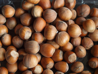 hazelnuts