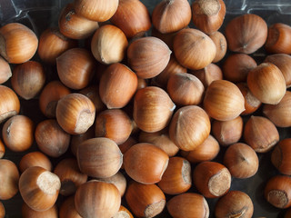 hazelnuts