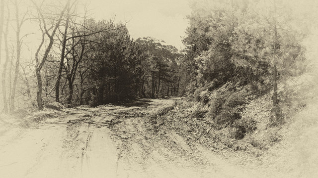 Fototapeta Forest Road Mud old monochrome photo