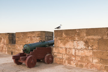 A cannon and a bird on the Skala de le Ville fort