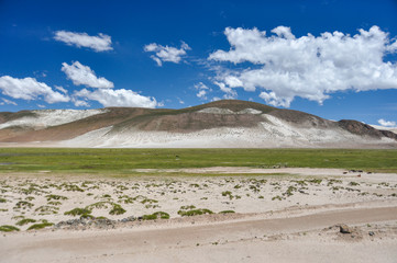 Beautiful, Landscape of Bolivia
