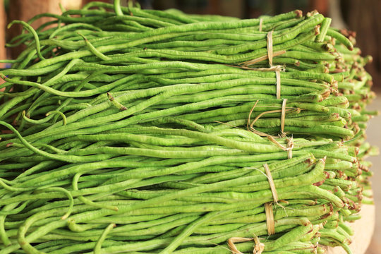 Long Bean In The Market