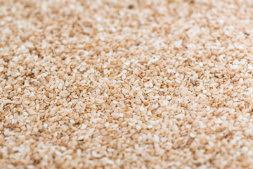 Sesame Background