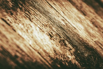 Wood Closeup