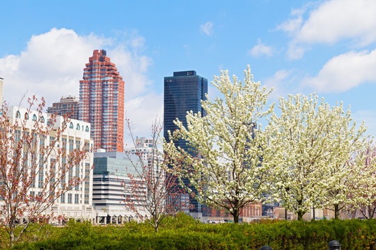 View on Manhattan from Roosevelt island in spring