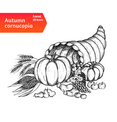 Cornucopia. Horn of plenty with autumn harvest symbols