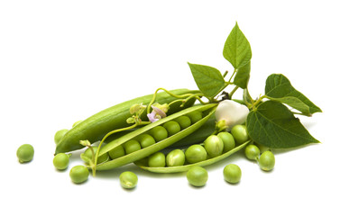 Fresh Garden Peas