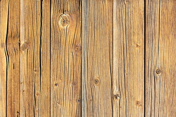 Mur en bois - Wood wall 