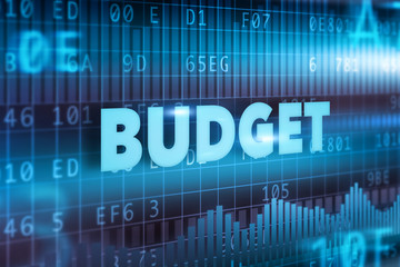 Obraz premium Budget concept