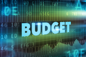 Fototapeta premium Budget concept