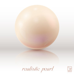 Pearl on a light background with reflection. Vector illustration