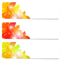 Naklejka na ściany i meble Set of three flyers autumn theme with foliage. Vector illustrati